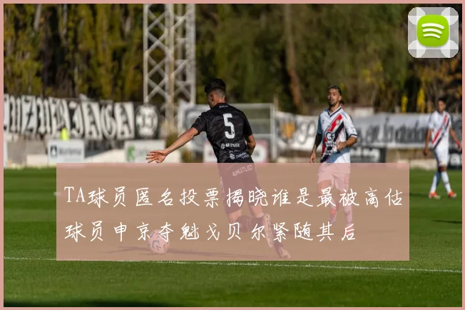 TA球员匿名投票揭晓谁是最被高估球员申京夺魁戈贝尔紧随其后